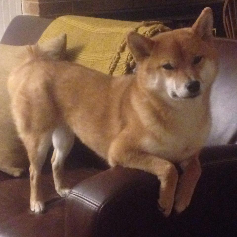 德甲球队全球青训合作更上新台阶，德甲18支球队