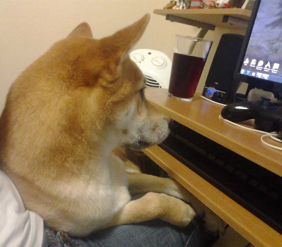 开云体育官方下载-“未来足球明星：全国青少年足球模拟比赛落幕”，全国青少年足球最佳阵容