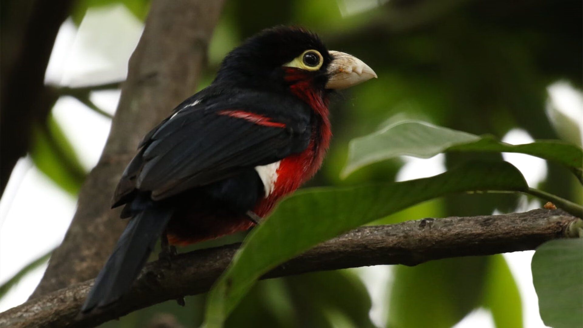 开云体育俱乐部官网-“最令人动容的球员成长故事”，球员励志故事