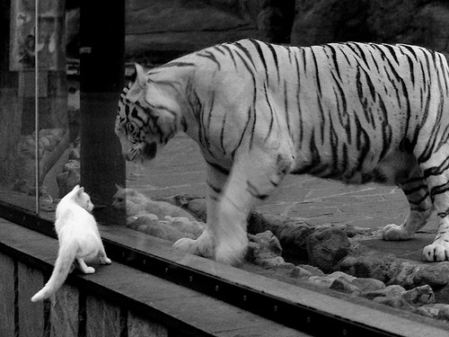 城市夜跑文化节,点亮全民运动新风尚,夜跑活动宣传文案